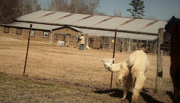 Freehaven Farm Limited 12