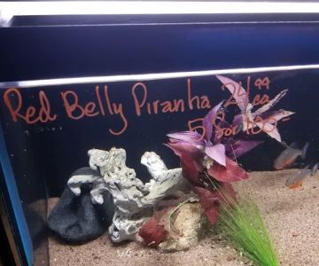 Tropi-Quatics Pet Center