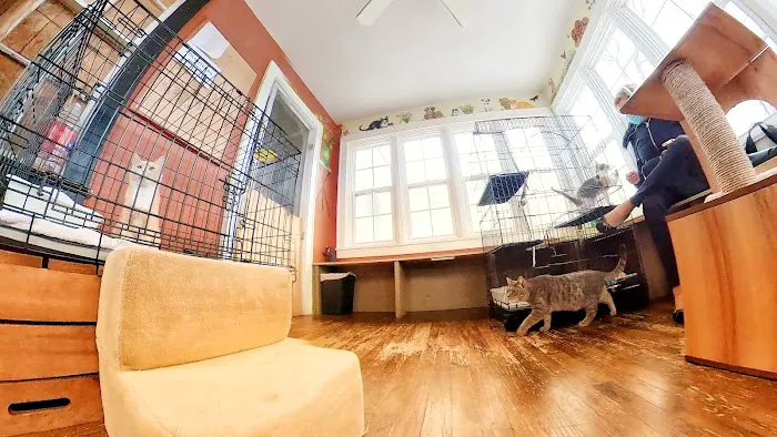 Colbert Animal Hospital 12