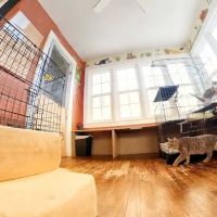 Colbert Animal Hospital ico