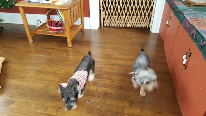 Colbert Animal Hospital 12