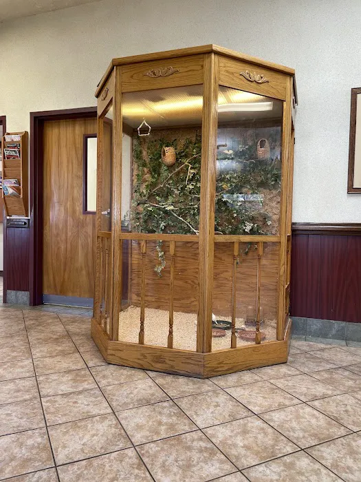 Commerce Veterinary Hospital 12