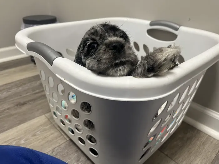 East Jackson Animal Hospital 12