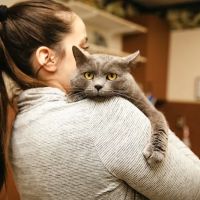 Commerce Veterinary Hospital at Banks ico