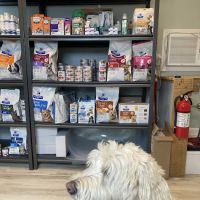 Primary Veterinary Care ico