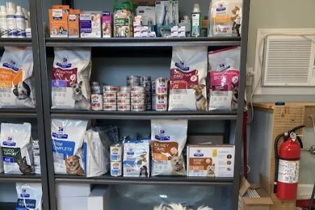 Primary Veterinary Care