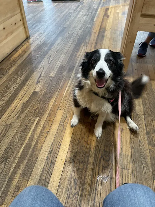 Copper Basin Veterinary Clinic 12