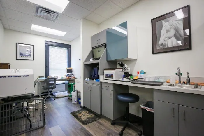 Nottely Oaks Animal Hospital 12