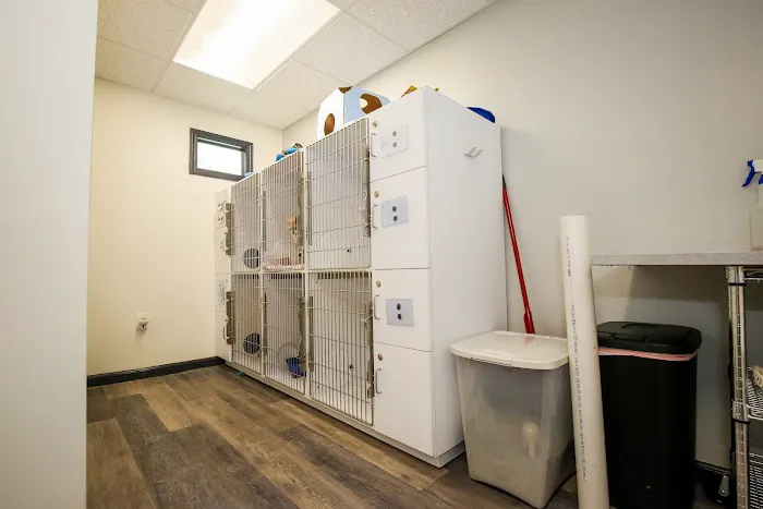 Nottely Oaks Animal Hospital 12