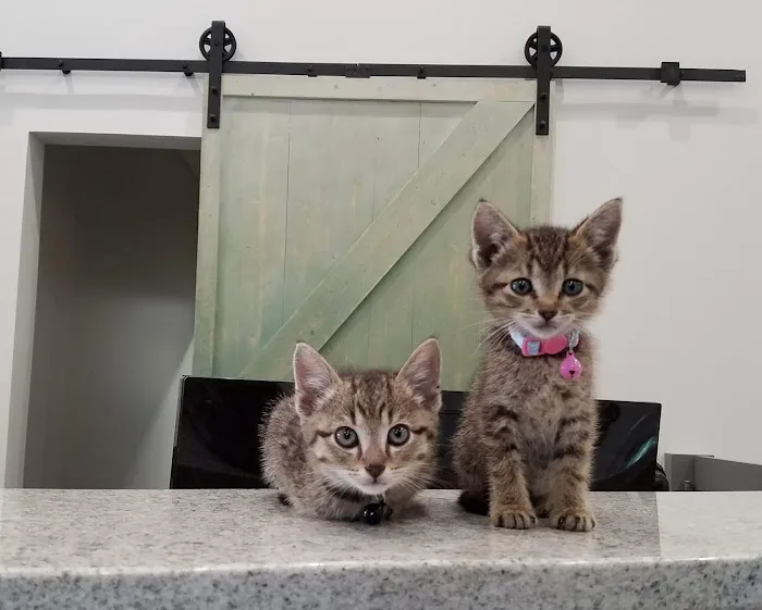 Nottely Oaks Animal Hospital 12