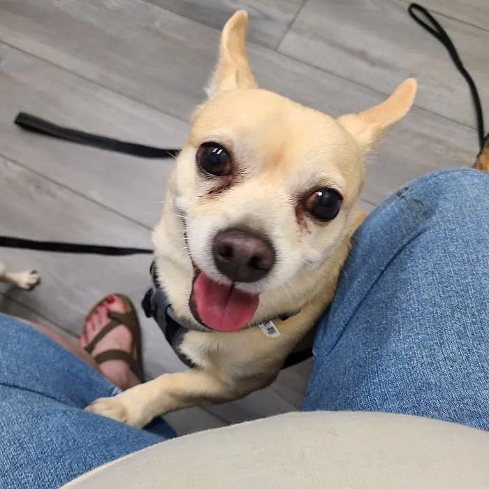 TRI STATE SPAY NEUTER and VETERINARY CLINIC 12