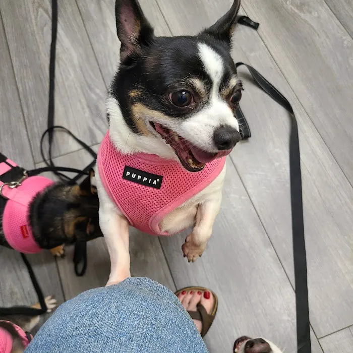 TRI STATE SPAY NEUTER and VETERINARY CLINIC 12