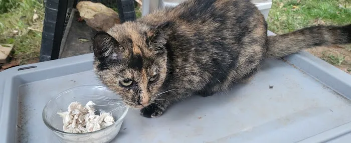 TRI STATE SPAY NEUTER and VETERINARY CLINIC 12