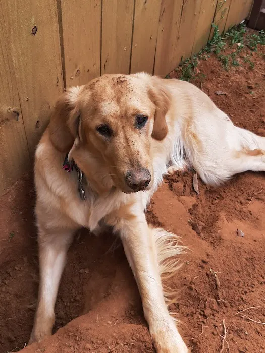 Union County Veterinary Clinic 12