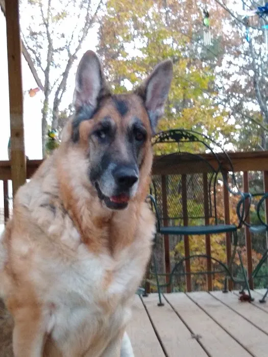 Union County Veterinary Clinic 12