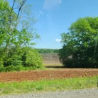 Mud Creek Veterinary Services: Elliott Scott DVM ico