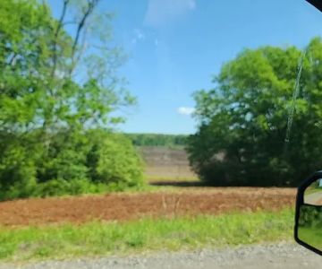 Mud Creek Veterinary Services: Elliott Scott DVM