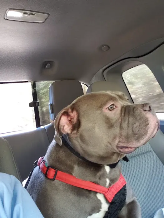Mud Creek Veterinary Services: Elliott Scott DVM 2