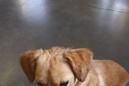 Mud Creek Veterinary Services