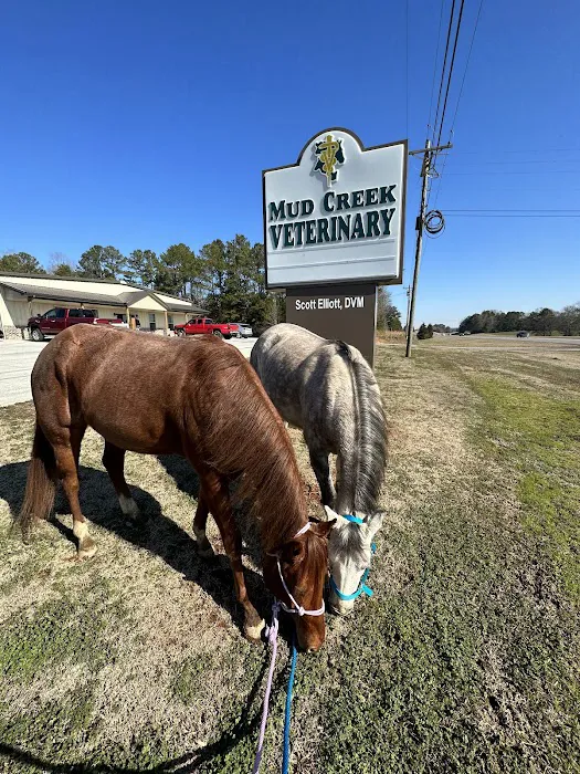 Mud Creek Veterinary Services 12