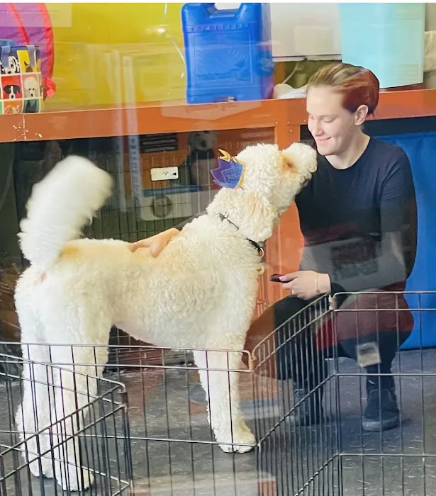 Kriser's Natural Pet 8