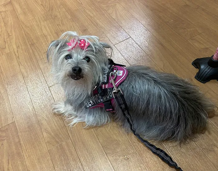 Scottsboro Pet Care 9