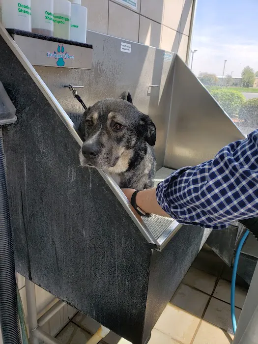 Pet Supplies Plus Yorkville 5