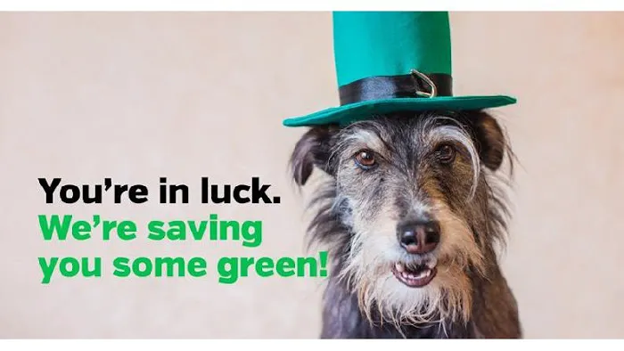 Pet Supplies Plus Yorkville 8