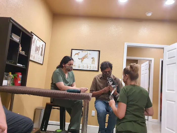 High Falls Holistic Veterinary Care 12