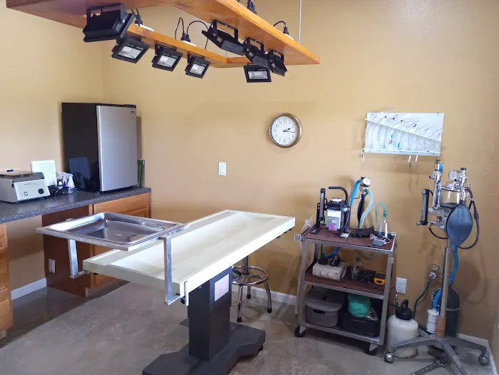 High Falls Holistic Veterinary Care 12