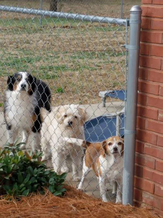 Phillips Small Animal Clinic 12