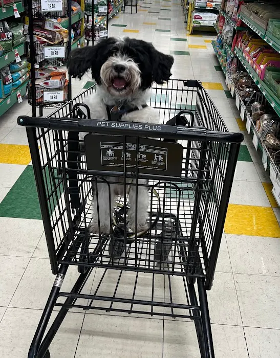 Pet Supplies Plus Bolingbrook 10