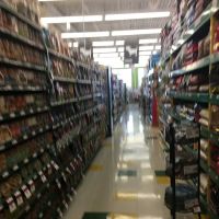 Pet Supplies Plus Bolingbrook ico