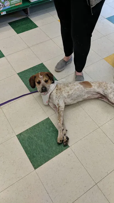 Pet Supplies Plus Bolingbrook 8