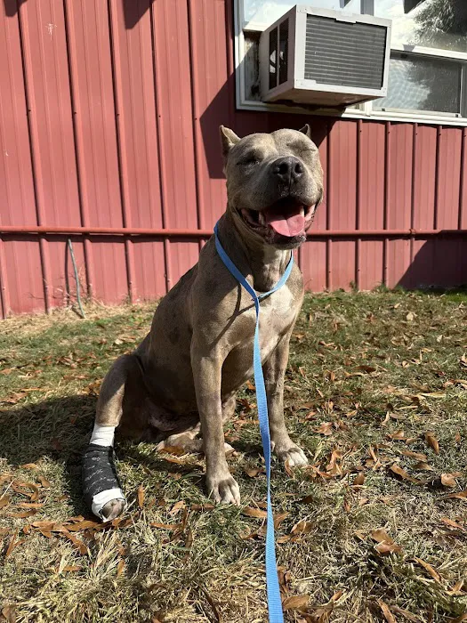 Red Barn Animal Hospital 12
