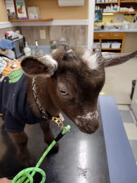 Red Barn Animal Hospital 12