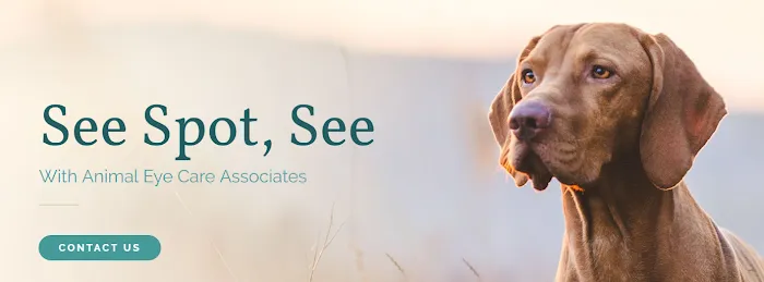 Animal Eye Care Associates 4