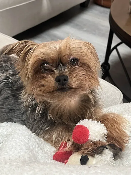 Chesapeake Animal Hospital 3
