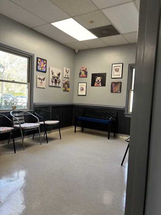 Chesapeake Animal Hospital 2