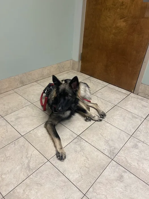 Animal Medical Clinic of Chesapeake 1