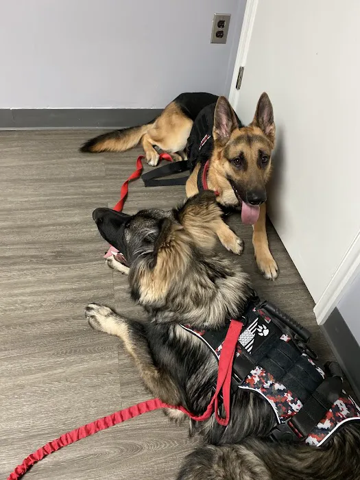 Animal Medical Clinic of Chesapeake 2