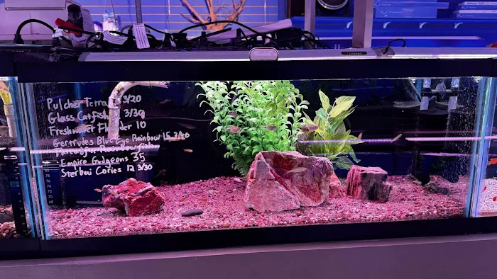 Fish Planet 3