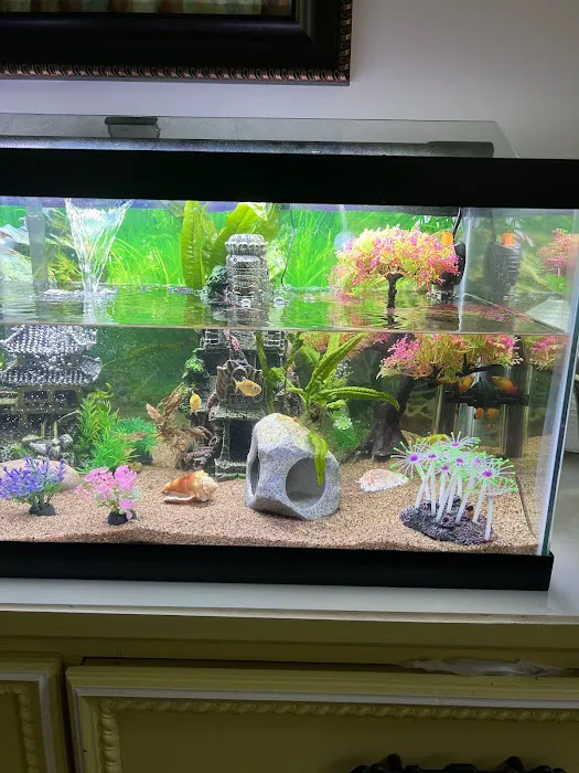 Fish Planet 5