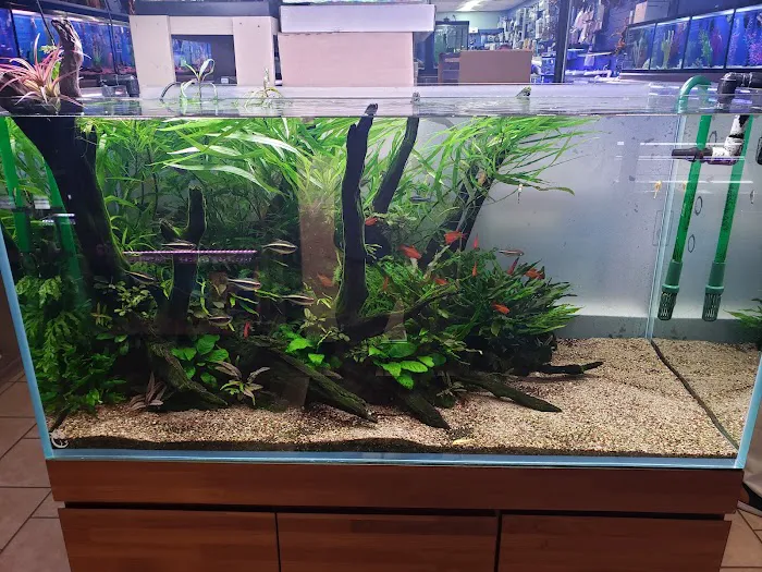 Fish Planet 9