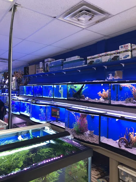 Fish Planet 2