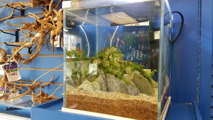 Fish Planet 6