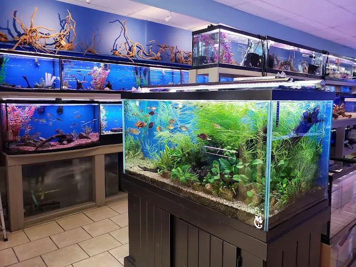 Fish Planet 1