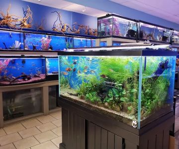 Fish Planet