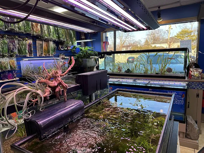 Fish Planet 8