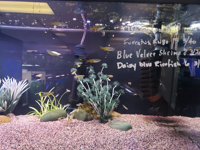 Fish Planet 7